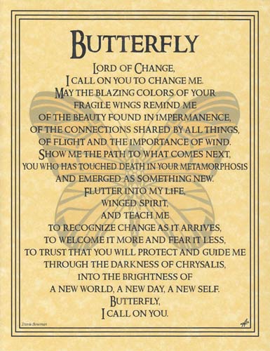 Butterfly (image for) Butterfly