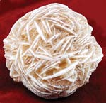 (image for) 1 Lb Desert Rose