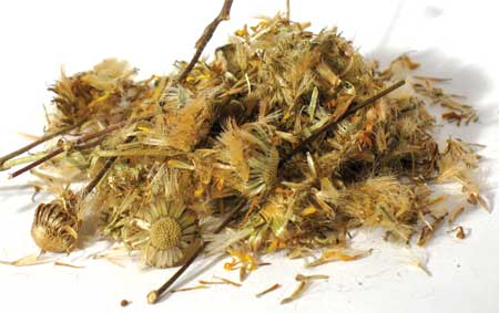 (image for) Arnica whole 2oz