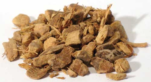 (image for) Galangal Root cut 1oz