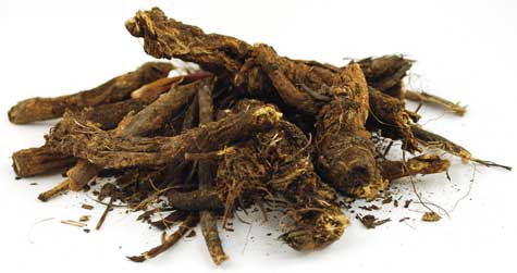 Golden Seal Root cut 1/2oz (image for) Golden Seal Root cut 1/2oz