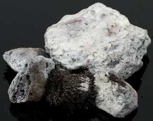 1 Lb Lodestones White (image for) 1 Lb Lodestones White