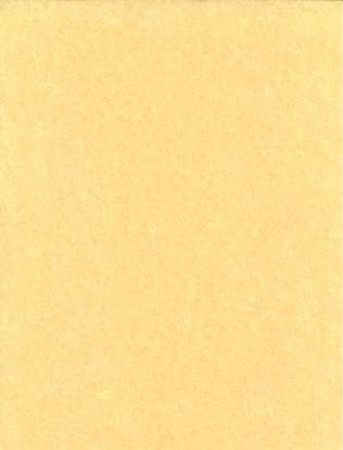 (image for) Light Parchment 5 Pack (8 1/2" x 11")