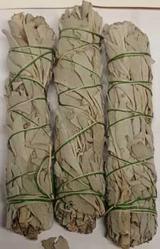 White Sage smudge 3pk 3" (image for) White Sage smudge 3pk 3"