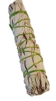 (image for) California White Sage smudge 3"