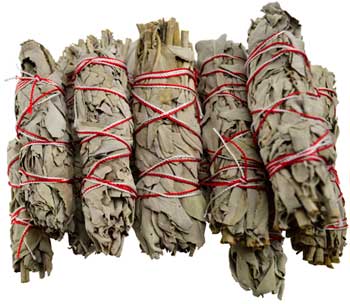 (image for) White Sage smudge 12pk 3 1/2"