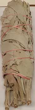 (image for) White Sage smudge 5-6"